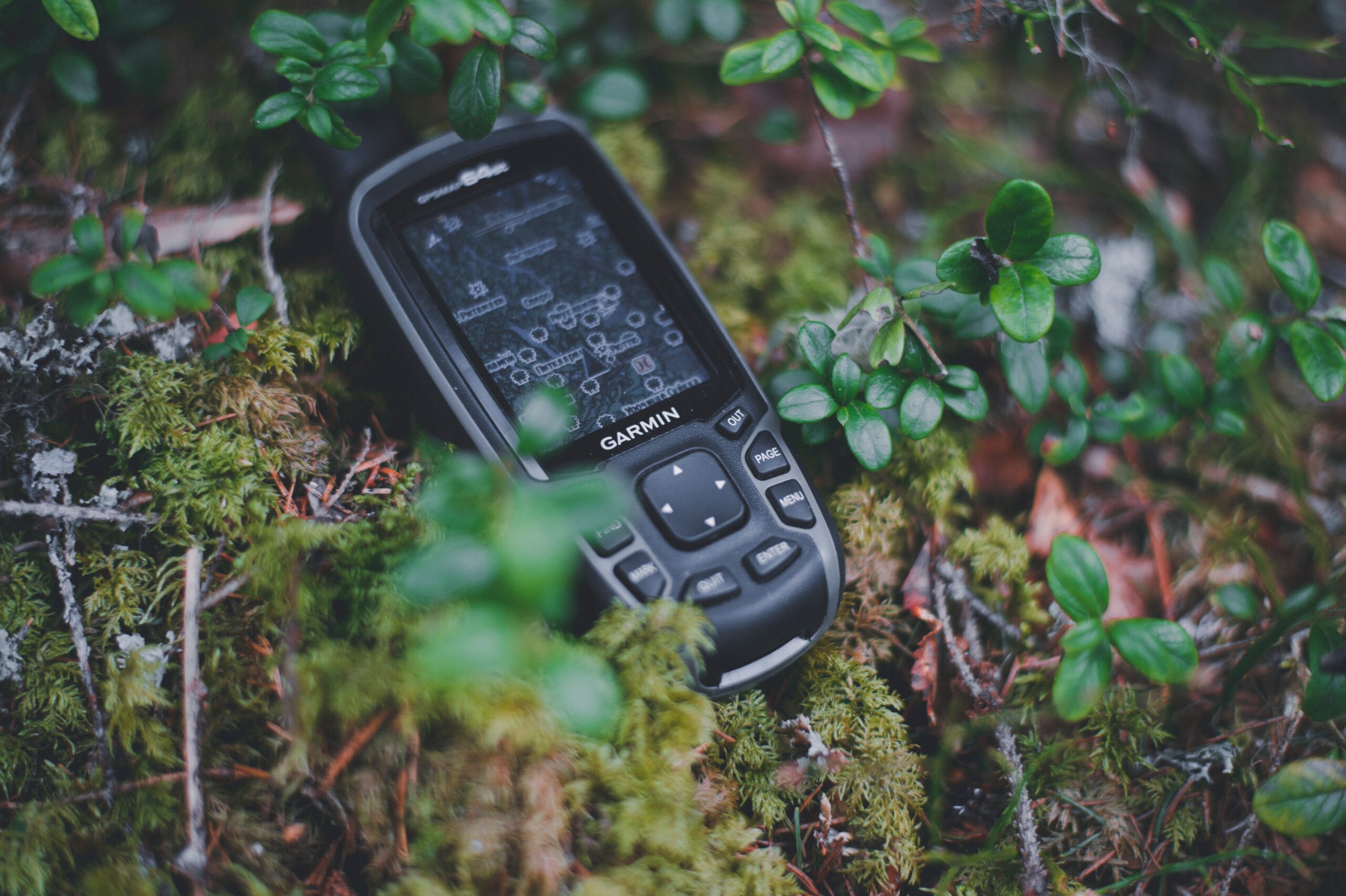 a cell phone sitting on top of a moss covered ground